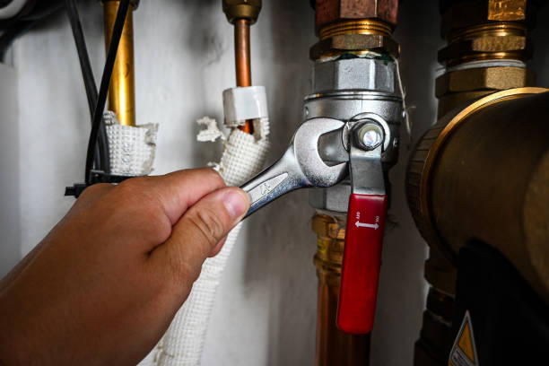 Best Local Plumber Services  in La Paloma, TX